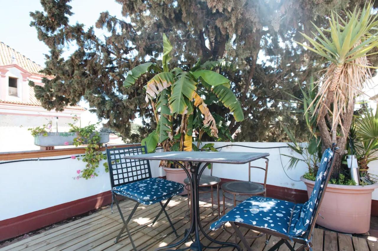 Penthouse Private Terrace, Near Cathedral, And To Real Maestranza Διαμέρισμα Σεβίλλη Εξωτερικό φωτογραφία